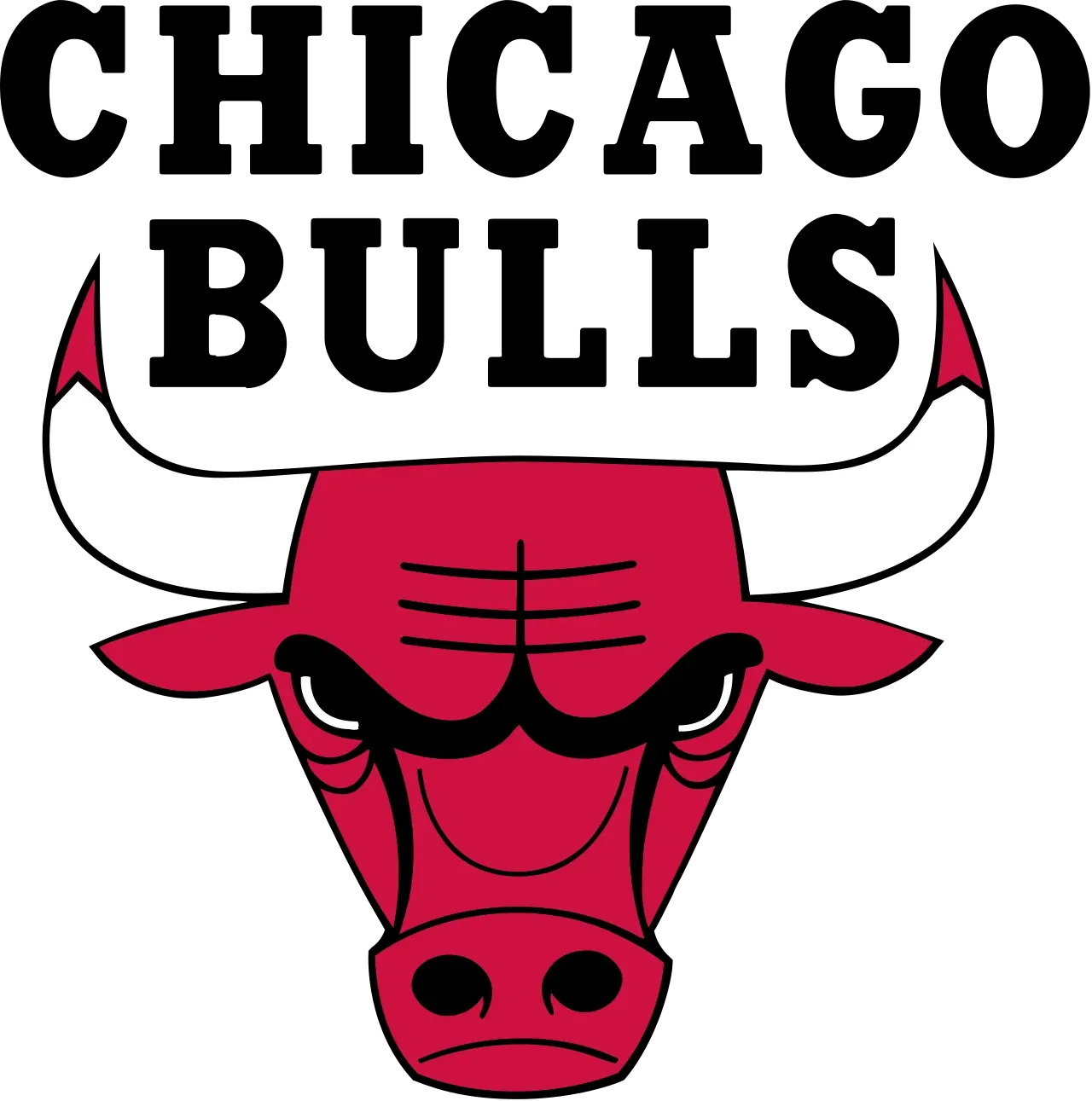 CHICAGO BULLS logo